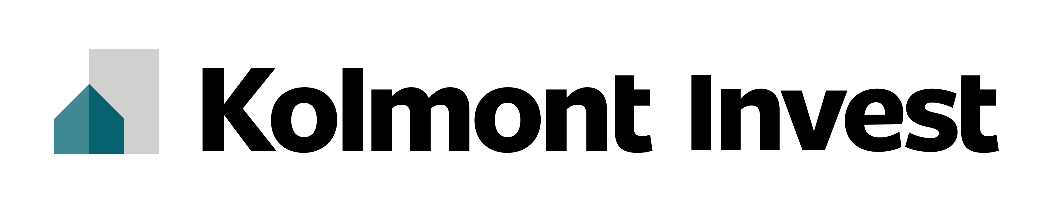 Logo icoon